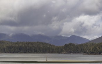 A peaceful lake with surrounding hills creating a tranquil natural scene under an overcast sky in