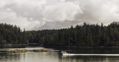 A boat navigates a still waterway lined with forest under a cloudy sky with mountains in the