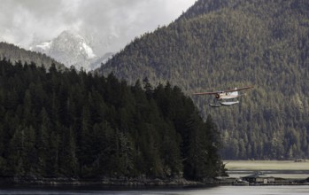 A seaplane glides past mist-covered mountains and lush forests over a calm body of water in Tofino,