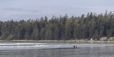 Two people walk along the shore with forest backdrop under a cloudy sky in Tofino, British