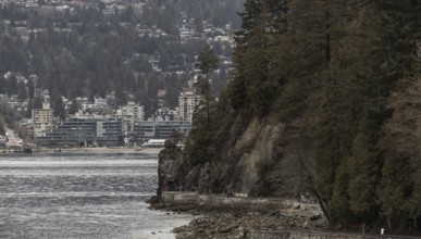 Urban buildings and lush trees along a rocky shoreline under a gray sky in Vancouver, British