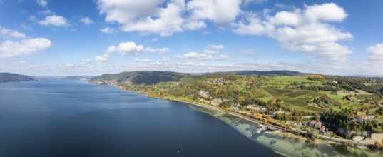 Aerial view, panorama of Lake Constance, Überlinger See, surrounded by autumn vegetation with the