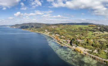 Aerial view, panorama of Lake Constance, Überlinger See, surrounded by autumn vegetation with the