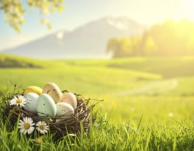 Nest with easter eggs in a basket on grass, sunny spring day, fresh beautiful landscape at