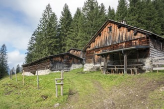 Gerstruber Alpe, Dietersbachtal, Oberstdorf, Allgäu Alps, Oberallgäu, Allgäu, Bavaria, Germany