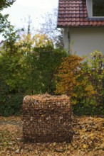 Public collection container, leaf basket, steel mesh compost basket, for collecting autumn leaves,