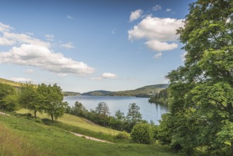 View of Schluchsee, Black Forest, Baden-Württemberg, Germany
