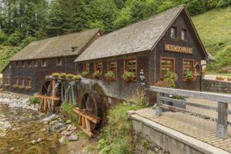 Hexenlochmühle, traditional water mill near Furtwangen in the Black Forest, Baden-Württemberg,