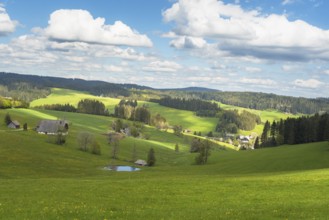 Hills and farms in Jostal, Titisee-Neustadt, Black Forest, Baden-Württemberg, Germany