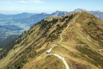 View of Schlappoldkopf with Fellhorn ridge hiking trail, Oberstdorf, Oberallgäu, Allgäu, Bavaria,