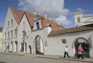 St. Peter and Paul Cathedral, Old Town, Tallinn, Estonia