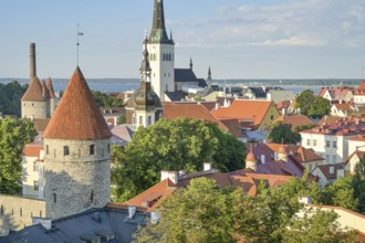 City towers, city walls, St. Olaf's church tower, view of the old town, Tallinn, Estonia