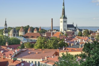 City panorama, St. Olaf's Church tower, view of the old town, Tallinn, Estonia