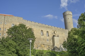 City wall, tower, Langer Hermann Pikk Hermann, Old Town, Tallinn, Estonia