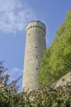 City wall, tower, Langer Hermann Pikk Hermann, Old Town, Tallinn, Estonia