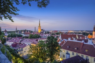 Evening city panorama, St. Olaf's Church in the middle, view of the old town, Tallinn, Estonia