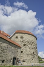 City wall, tower, Dicke Margarethe Paks Margareeta, Old Town, Tallinn, Estonia
