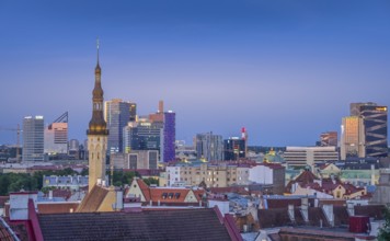 City panorama, old town with town hall tower in front, modern business district, skyscrapers,