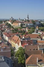 Old town, panorama, Toompea Cathedral Hill in the back, Tallinn, Estonia