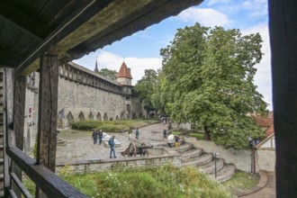 City wall, garden of Danish King Taani Kuninga Aed, Old Town, Tallinn, Estonia