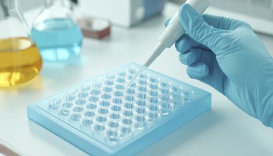 Pipette targets a blue microplate on a bright, tidy bench with colored flasks, Pipette dispensing a