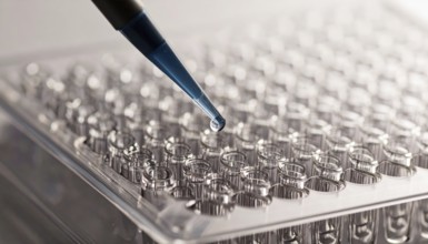 Blue reagent droplet poised above clear wells, conveying quiet precision, Pipette dispensing a