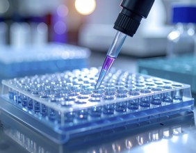 A pipette delivers a violet reagent into a blue multiwell plate on a bright, sterile bench,