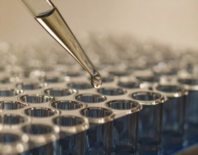 A droplet hangs from a pipette above clear wells in warm lab light, Pipette dispensing a liquid