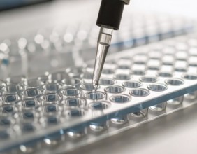 Pipette deposits a drop into a clear microplate on a bright, clean lab bench, Pipette dispensing a