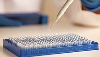 Droplet falls from pipette toward a blue 96-well plate, Pipette dispensing a liquid onto a