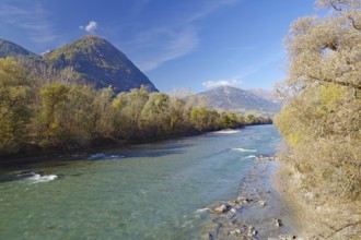 Clear river with gravel bank between autumn trees, mountains in the background under blue sky,