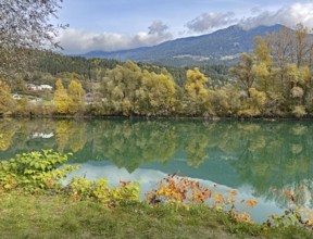 Calm river reflecting autumnal trees and mountains under cloudy sky, Drau, Drauradweg, Carinthia,
