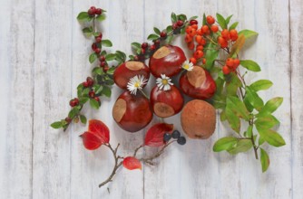 Autumn still life with chestnuts, October, Germany