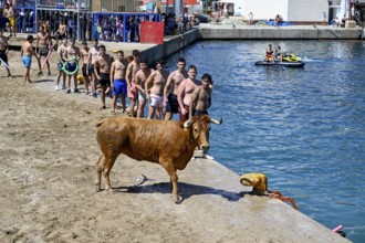 Bous a la Mar Fair, in English Bulls in the Sea, Bullfighting, Javea or Xàbia, Alicante Province,