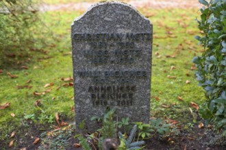 Grave, tombstone, Willi Bleicher, German resistance fighter against National Socialism, later head
