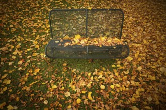 Park bench, bench, full autumn leaves, leaves, main cemetery, autumn, autumn, autumn atmosphere,