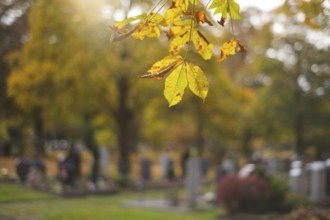 Leaves in front of grave, graves, tombstones, main cemetery, autumn, autumn mood, Stuttgart,