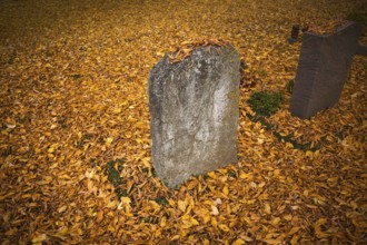 Grave, gäber, tombstone, overcast, full of autumn leaves, main cemetery, autumn, autumn mood,