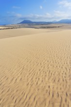 Corralejo Natural Park, Fuerteventura, Canary Islands, Spain