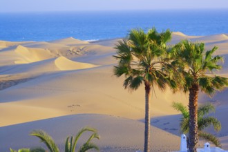 Maspalomas sandy dunes, Gran Canaria, Canary Islands, Spain