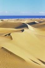 Sand dunes, Maspalomas, Playa del Ingles, Gran Canaria, Canary Islands, Spain