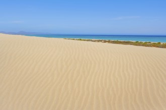 Sotavento Beach, Jandia, Fuerteventura, Canary Islands, Spain