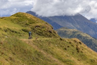 Mountain biker and Vizsla Rüde as trail dog, Passo Scimfuss, Airolo, Tessin, Switzerland