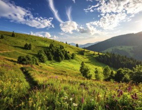 Fresh summer hilly Landscape with blooming Meadow, green plants, Blue Sky with cloudy sky, serene