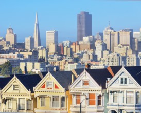 The Painted Ladies, Alamo Square, San Francisco, California, USA