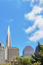 View of downtown financial district seen from Portsmouth square, San Francisco, California, USA