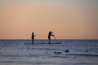 Two stand up paddlers on the Baltic Sea in the evening light, Ahrenshoop, Darß, Mecklenburg-Western