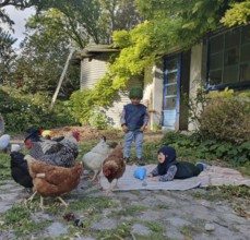Two small children in the garden on a blanket with chickens, Othenstorf, Mecklenburg-Western