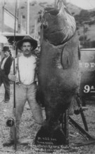 Man with giant Pacific bass (Stereolepis gigas), approx. 2 meters long, about 1930, Catalina