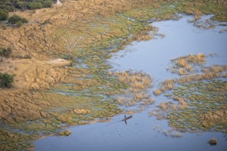 Marshland, marshland on a lake, Kavango fishermen with his Mokoro, aerial view, Okavango Delta,